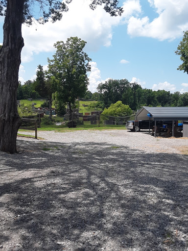 Airsoft Supply Store «CartCon1 Airsoft Field and Pro Shop», reviews and photos, 8425 Horton Hwy, College Grove, TN 37046, USA