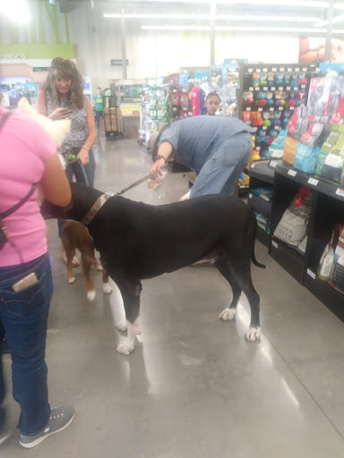 Pet Supply Store «Petco Animal Supplies», reviews and photos, 635 Cibolo Valley Drive #149, Cibolo, TX 78108, USA