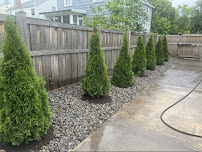 J&C Landscaping INC - Photo 3 - Car repair in , Naperville