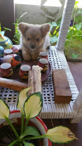 Beauty Salon «Salons Elite», reviews and photos, 860 E Ralph Hall Pkwy, Rockwall, TX 75032, USA