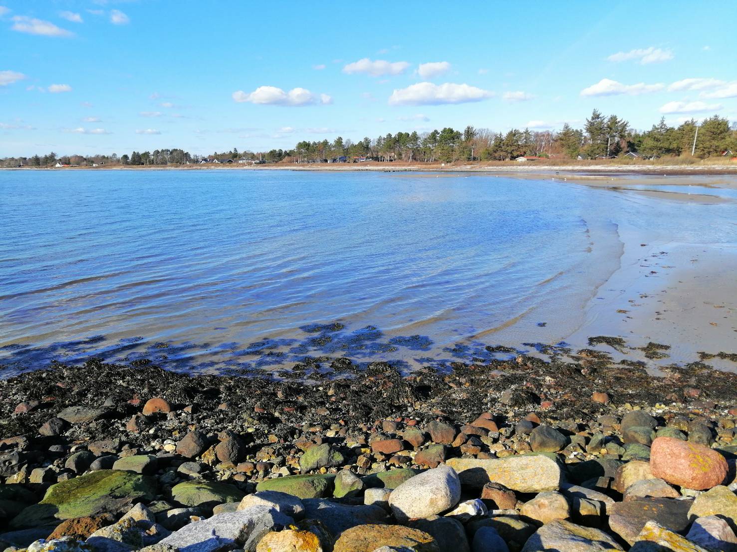 Skodshoved Beach'in fotoğrafı düz ve uzun ile birlikte