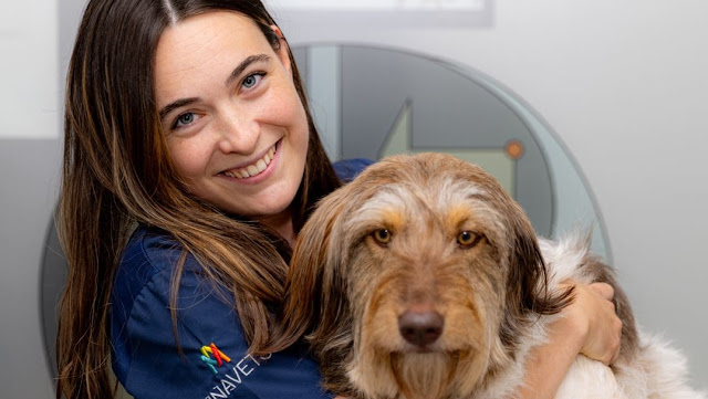 Clínica Veterinaria Ruzafa