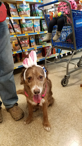 Pet Supply Store «PetSmart», reviews and photos, 1130 SE Everett Mall Way, Everett, WA 98208, USA