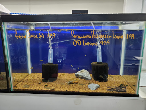 Pet Store «Pet Town», reviews and photos, 7804 Florence Ave, Downey, CA 90240, USA