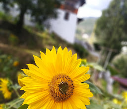 Semtokha Dzong སེམས་རྟོགས་ཁ་རྫོང་། photo