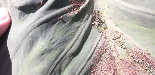 Top 20 cửa hàng thông minh Thị xã Bà Rịa Bà Rịa Vũng Tàu 2022