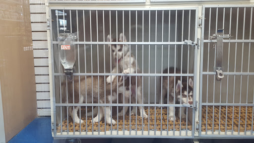 Pet Store «V.I. Pets», reviews and photos, 11975 E Lakewood Blvd, Holland, MI 49424, USA