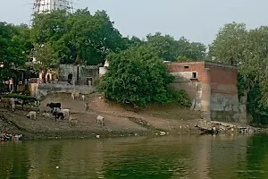 Shani Dev Mandir (Renuka Dham) image