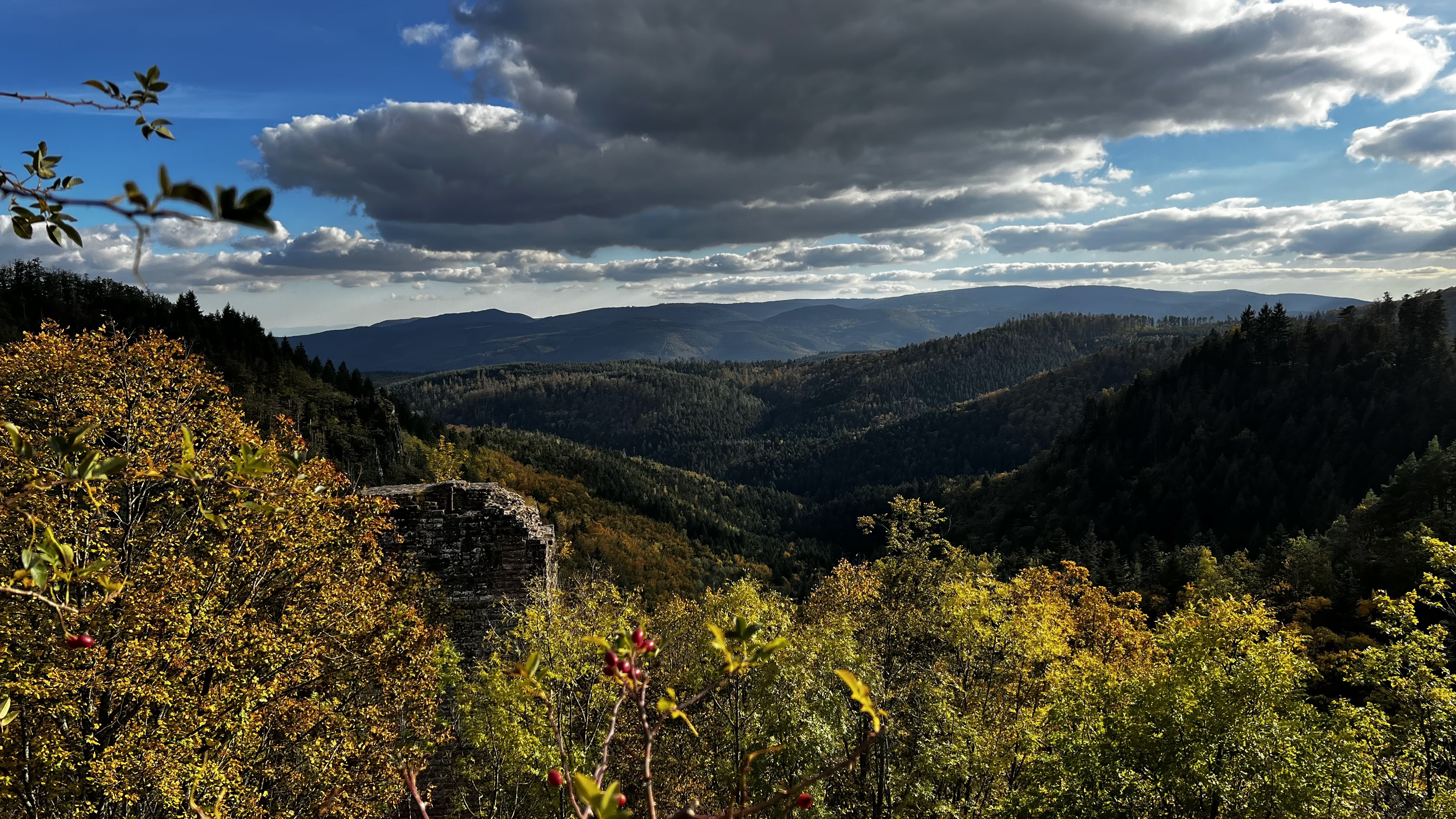 Photo n° 2 de l'avis de Ricardo.o fait le 23/10/2021 à 17:28
