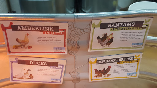 Home Improvement Store «Tractor Supply Co.», reviews and photos, 42 Carmen Pl, Ruckersville, VA 22968, USA