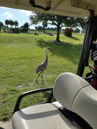 Golf Course «Indian Hills Golf Course», reviews and photos, 1600 S 3rd St, Fort Pierce, FL 34950, USA