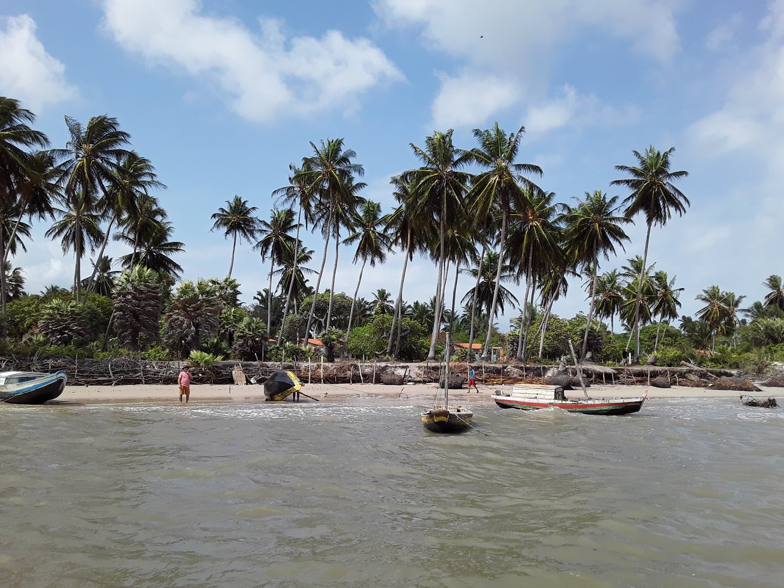 Praia De Santa Clara'in fotoğrafı vahşi alan