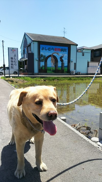 よしむら動物病院