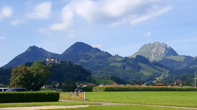 Rte de l'Aérodrome 43, 1663 Epagny, Schweiz