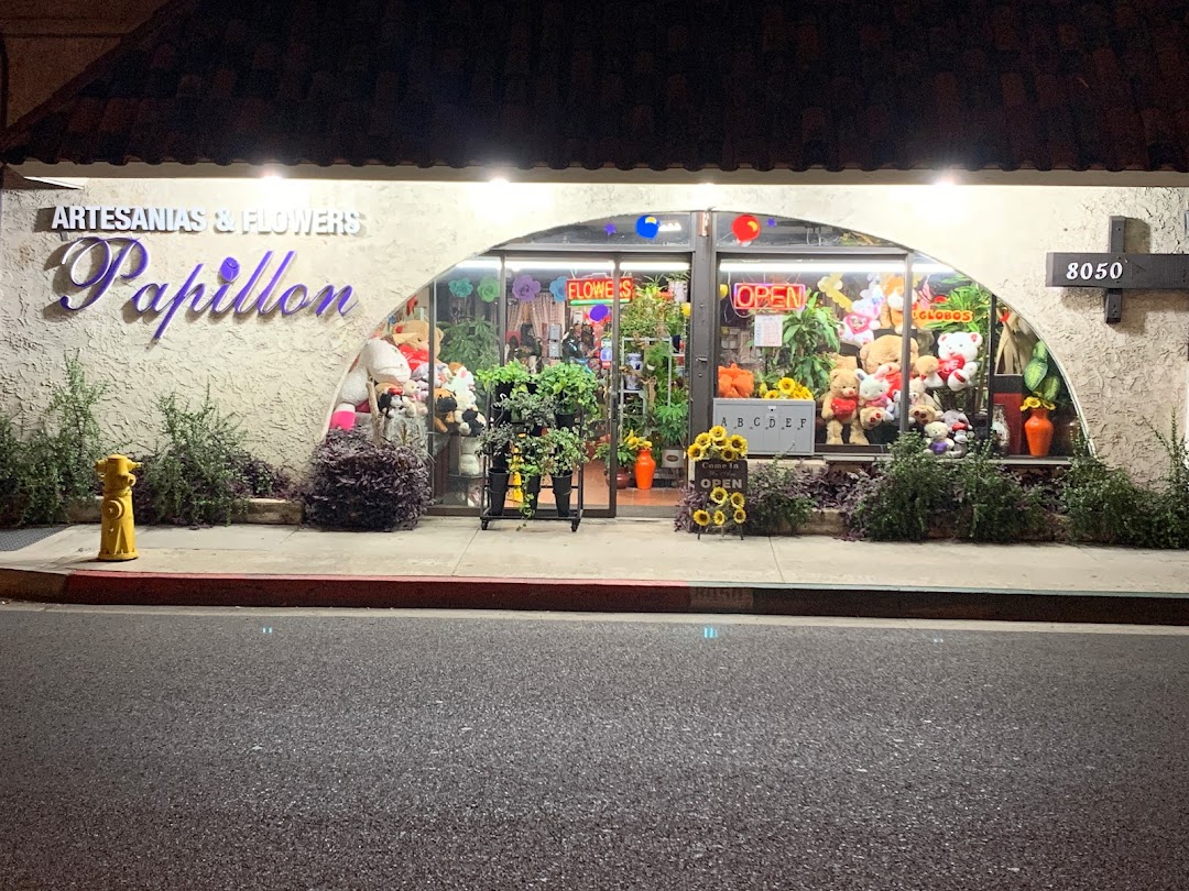 Artesanias & Flowers