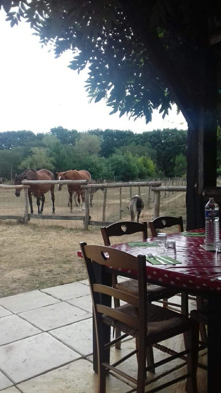 Photo n° 1 de l'avis de Jean-Francis.e fait le 31/08/2018 à 07:58