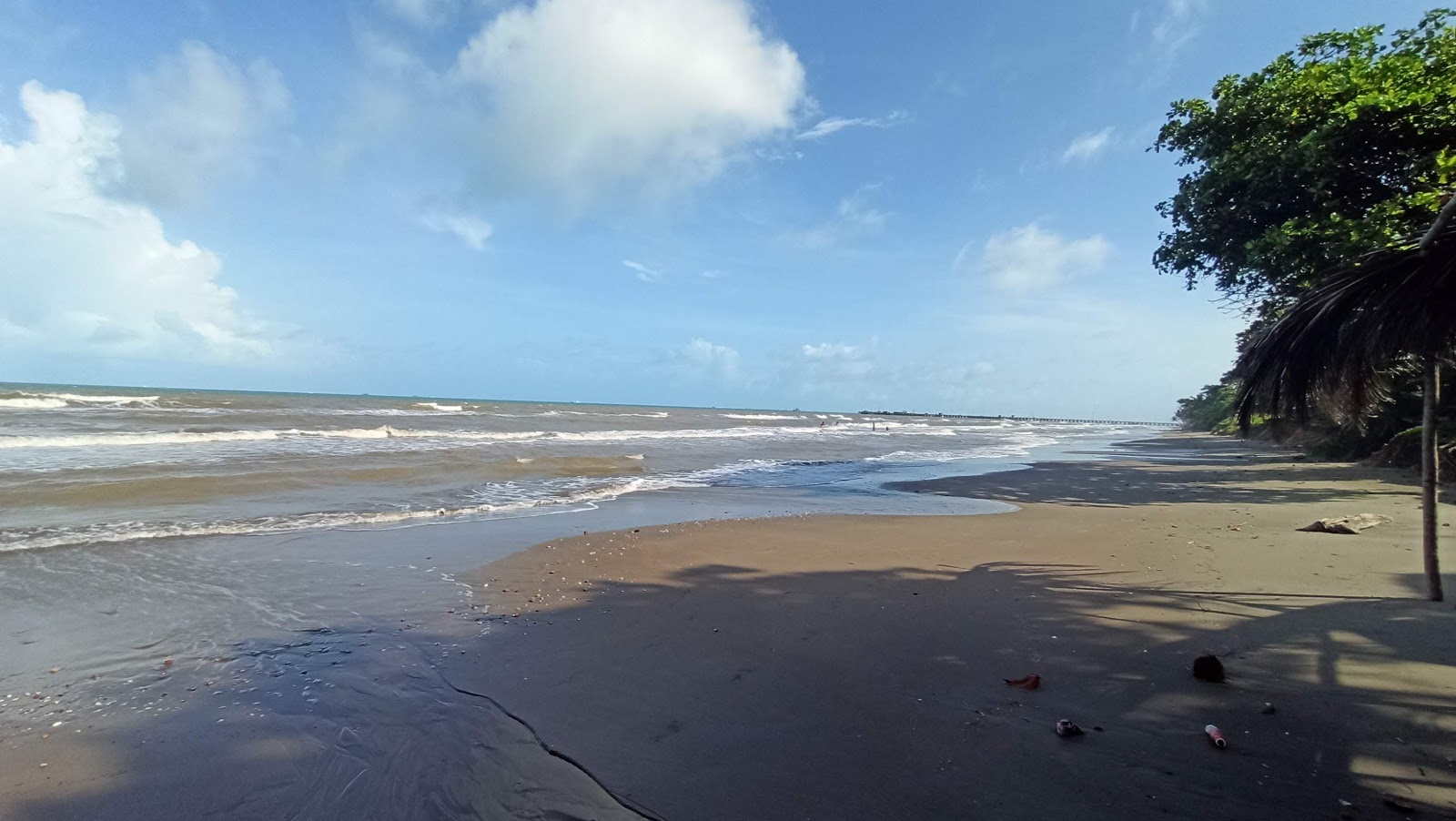 Fotografija Plaža La Bocana z visok stopnjo čistoče