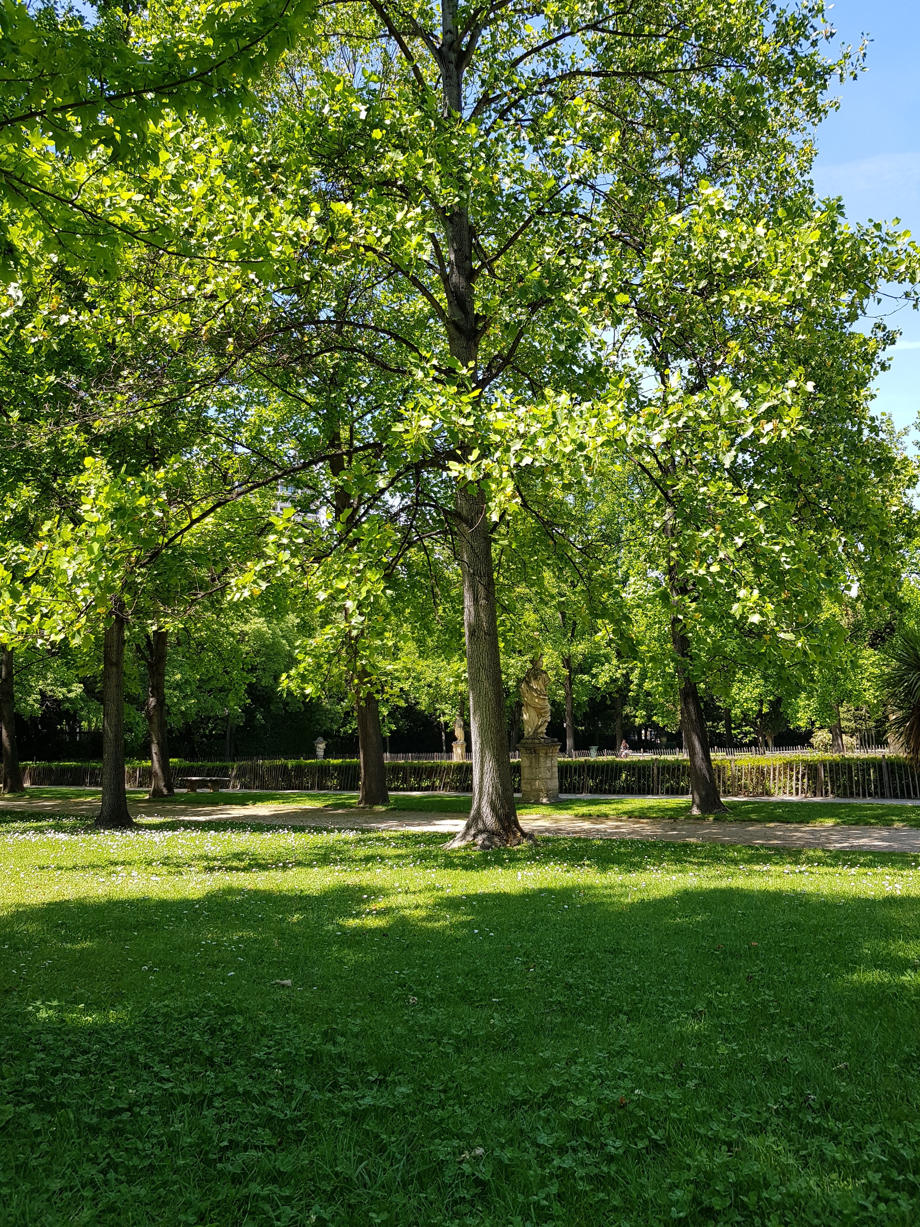 Photo n° 5 de l'avis de Siana.t fait le 24/05/2019 à 18:05