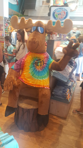 Gift Shop «Cool As A Moose», reviews and photos, 118 Main St, Bar Harbor, ME 04609, USA