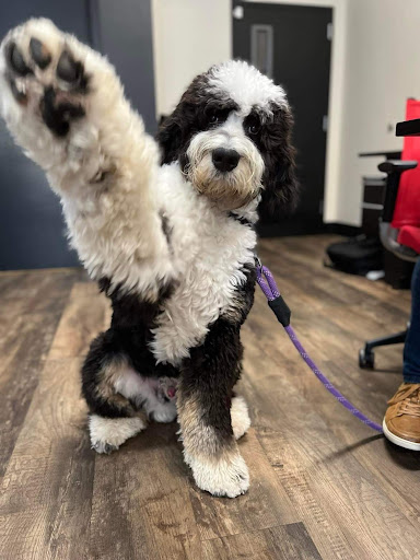 Insurance Agency «Ryan Gelbrich - State Farm Insurance Agent», reviews and photos