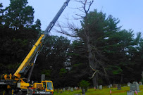 EA Lawn Care & Tree Service - Tree Trimming Company Meriden CT, Tree Removal, Tree Care, Tree Cutting Company - Photo 8 - Car repair in , Waterbury