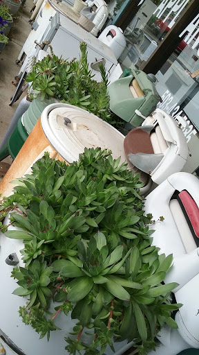 Thrift Store «Aftermath Thrift Store», reviews and photos, 615 NE Lafayette Ave, McMinnville, OR 97128, USA