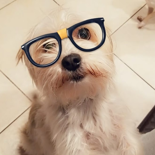 Pet Supply Store «Park Feed Store & Pet Supply», reviews and photos, 5775 Park Blvd N, Pinellas Park, FL 33781, USA