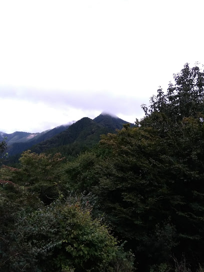 杉ノ峠