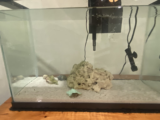 Tropical Fish Store «Aquarium Concepts», reviews and photos, 2110 E 70th St, Shreveport, LA 71105, USA