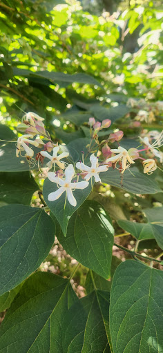 Park «Laurelhurst Park», reviews and photos, SE Cesar E Chavez Blvd & Stark St, Portland, OR 97214, USA