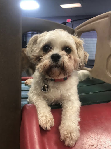 16875 S Main St, Galesville, WI 54630, USA