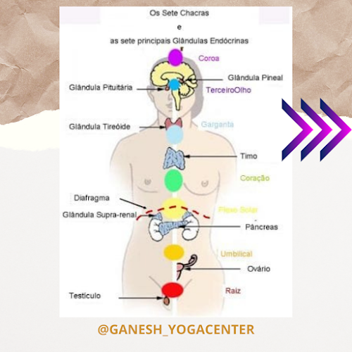 Ganesh Yoga Center - Aulas de Yoga