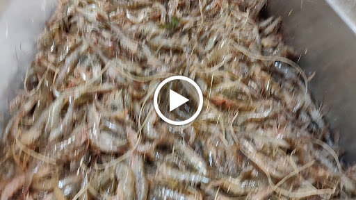 Grocery Store «New Grand Mart», reviews and photos, 6326 Arlington Blvd, Falls Church, VA 22042, USA