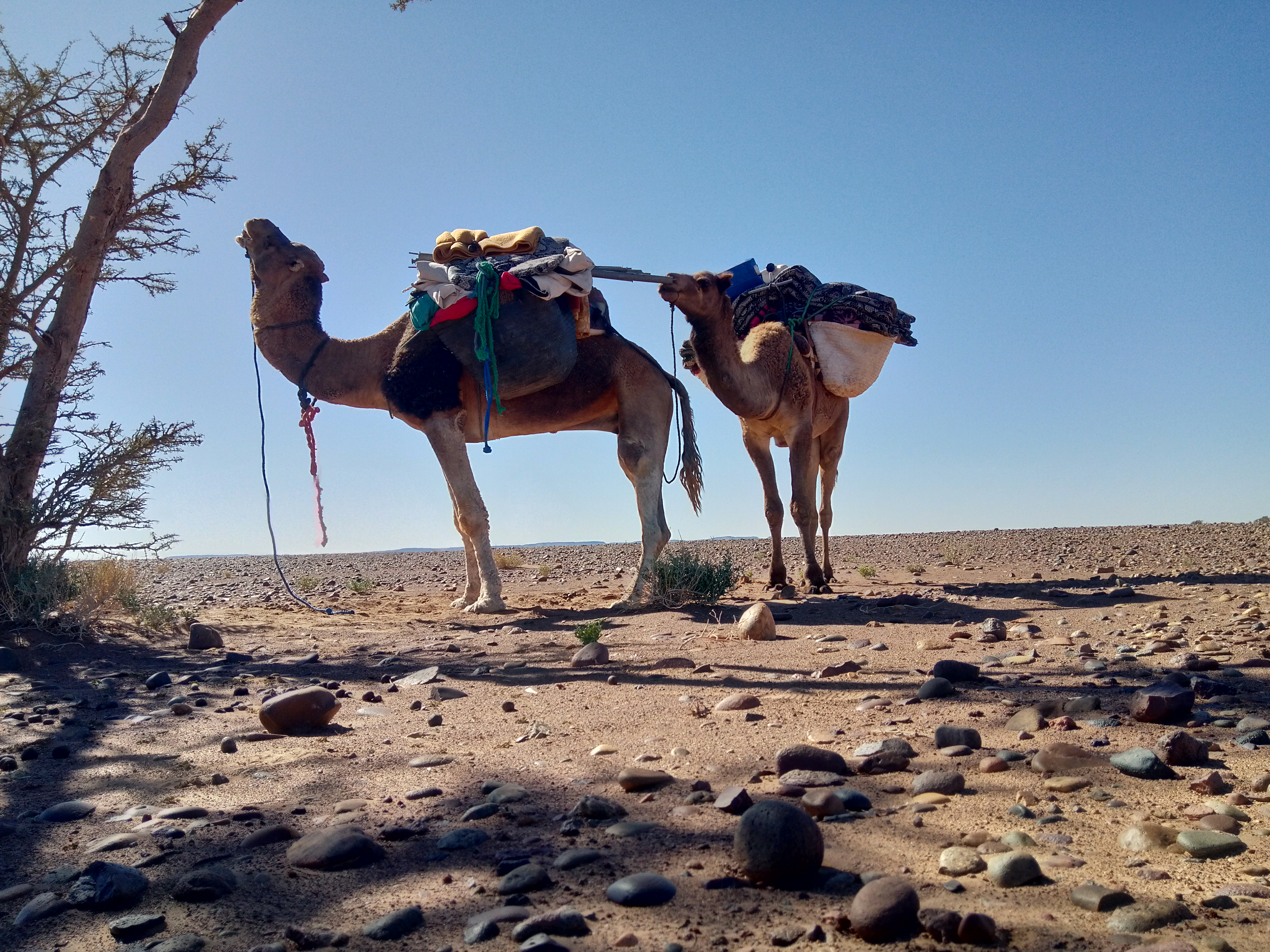 Photo n° 11 de l'avis de ayoub.l fait le 09/10/2021 à 12:18