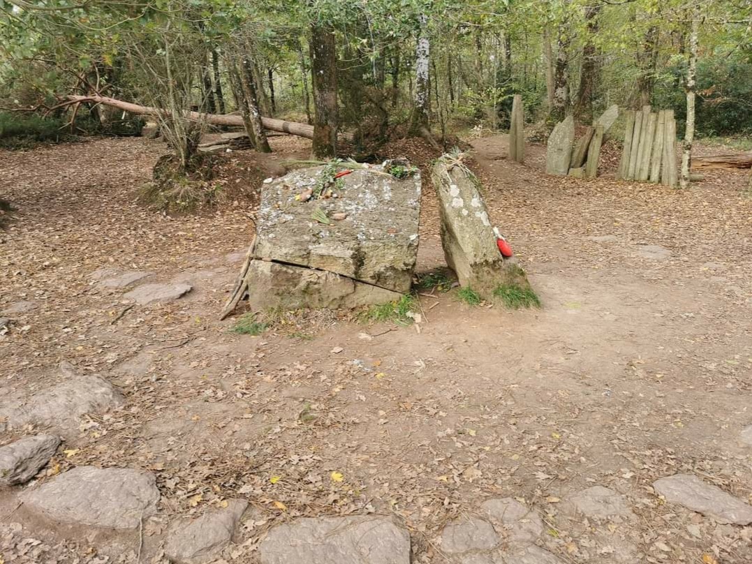 Photo n° 1 de l'avis de Chloé.a fait le 21/10/2020 à 15:24