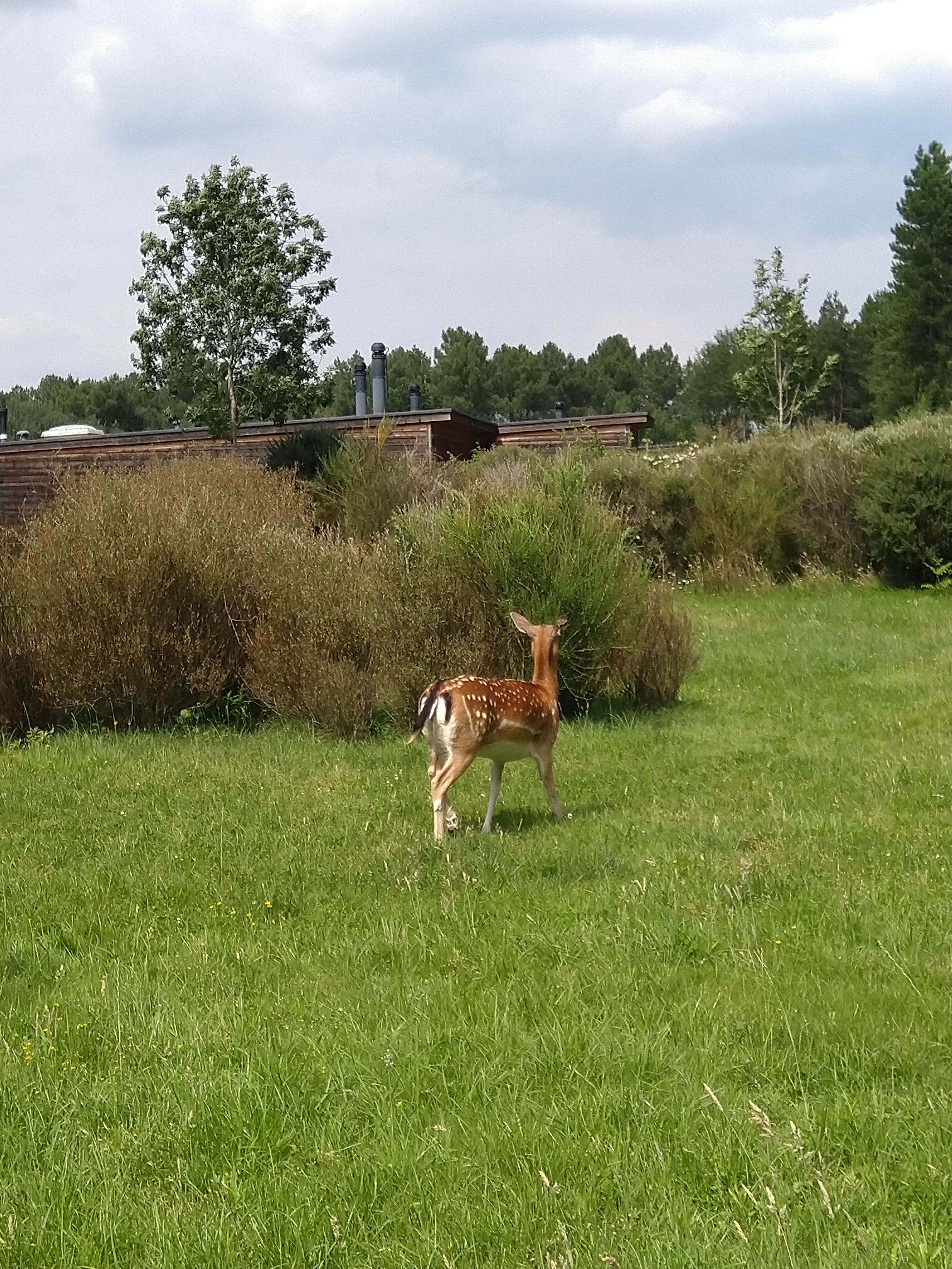 Photo n° 7 de l'avis de Jean-Marc.O fait le 27/07/2021 à 14:42