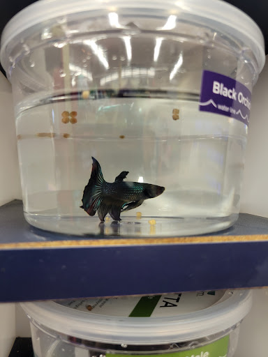 Pet Supply Store «Petco Animal Supplies», reviews and photos, 4915 E 41st St C, Tulsa, OK 74135, USA