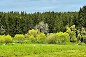 Furt im Freibachtal image