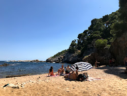 Photo de Cala del Crit - endroit populaire parmi les connaisseurs de la détente