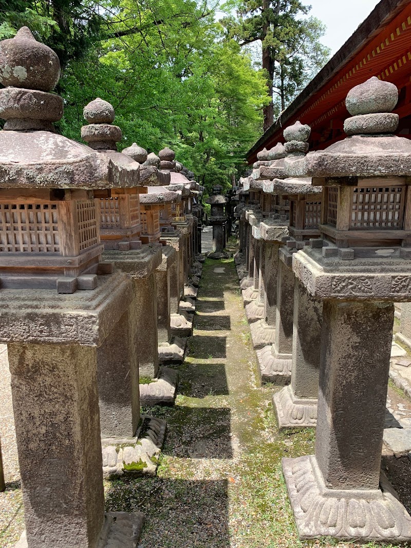 春日神社境内ナギ樹林