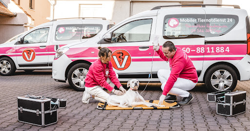 Mobile Animal Emergency 24 unter Cologne, Nordrhein-Westfalen