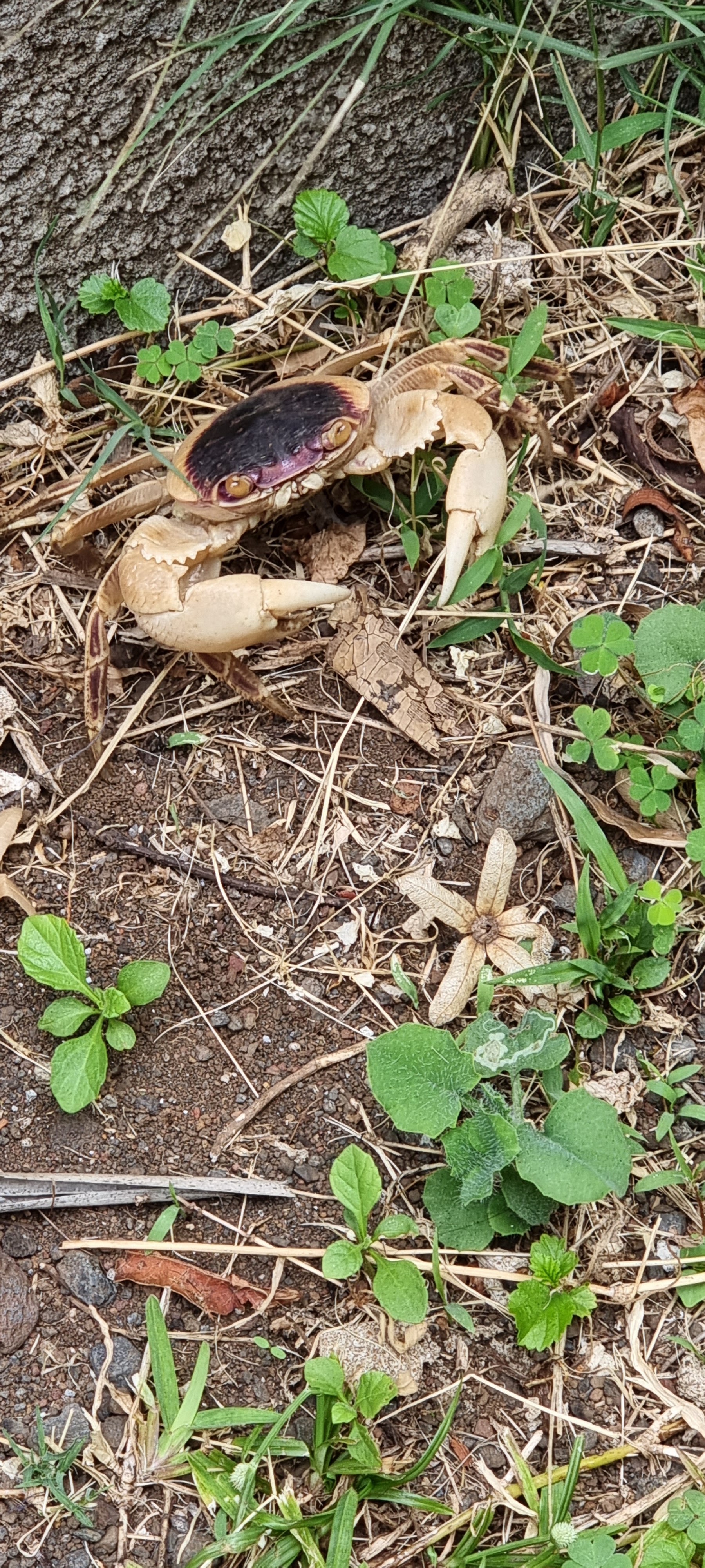 Photo n° 7 de l'avis de Francoise.o fait le 12/10/2023 à 11:46