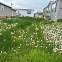 Trustworthy Lawn Love - Photo 7 - Car repair in , Flint
