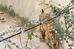 Bahawalpur Zoo image