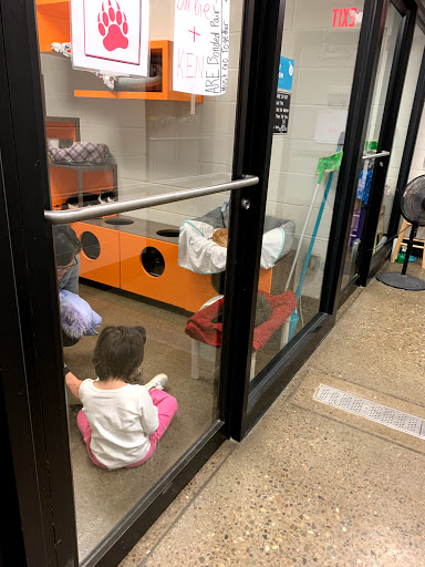 Animal Shelter «One of A Kind Pet Rescue», reviews and photos, 1929 W Market St, Akron, OH 44313, USA