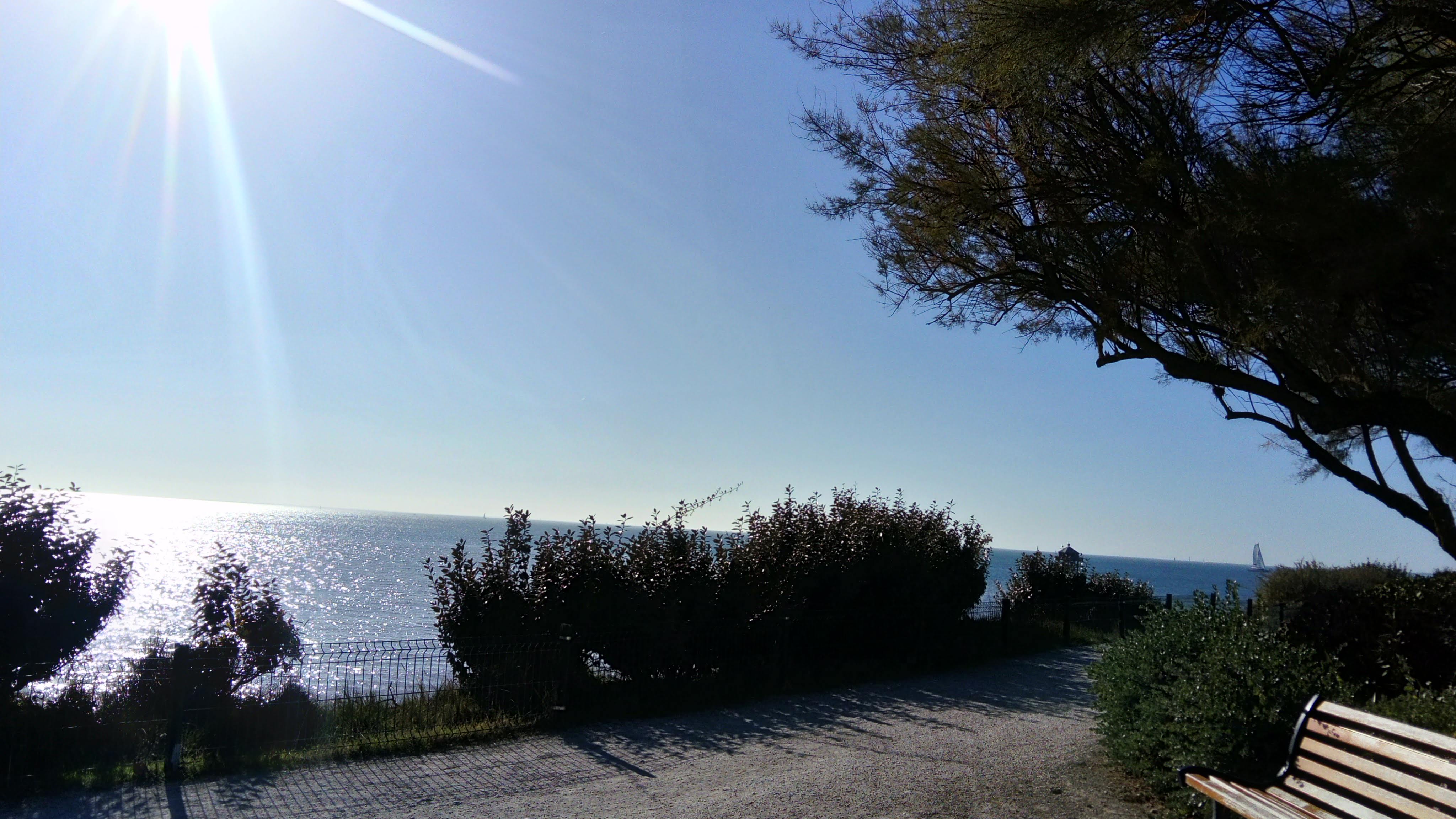 Photo n° 1 de l'avis de Raphael.o fait le 31/03/2019 à 15:24
