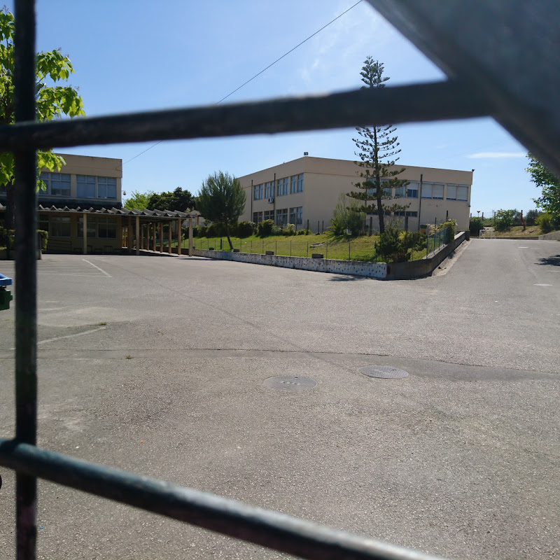 3 image