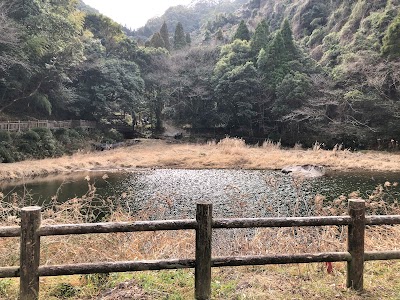 枦山池