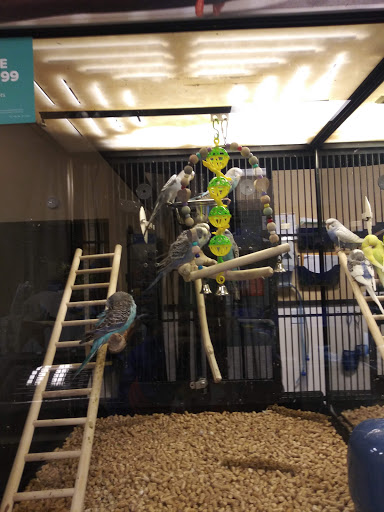 Pet Supply Store «PetSmart», reviews and photos, 1954 Santa Rosa Ave, Santa Rosa, CA 95407, USA