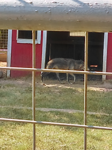 Zoo «Animal World & Snake Farm Zoo», reviews and photos, 5640 Interstate 35 Frontage Rd, New Braunfels, TX 78132, USA